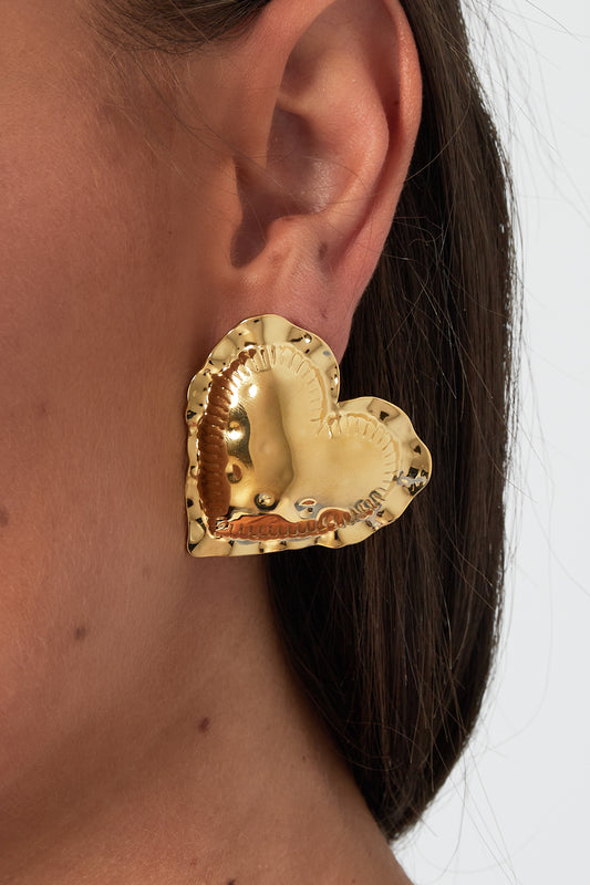 Embrace heart Earrings