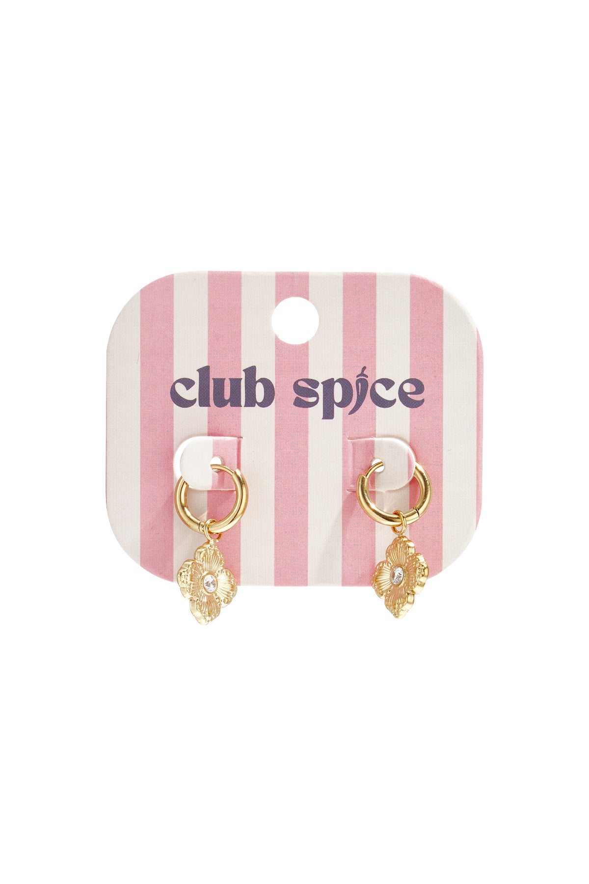 Stainless Steel Drop Earrings Flower Simple Daily Simple Series Women's jewelry